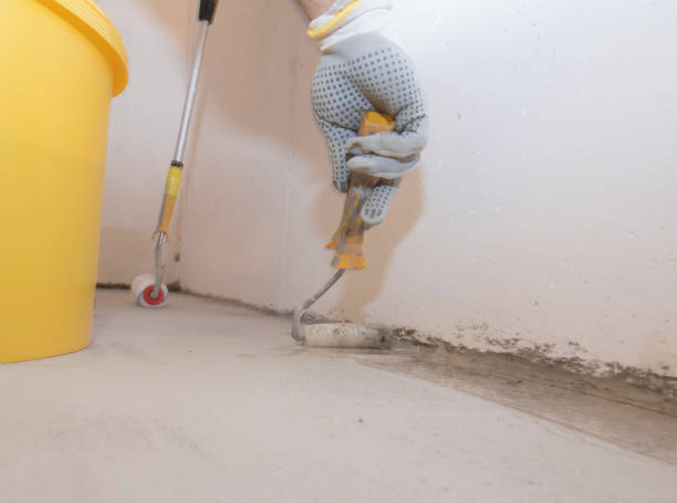 Professional Pest control in Point Lookout, NY